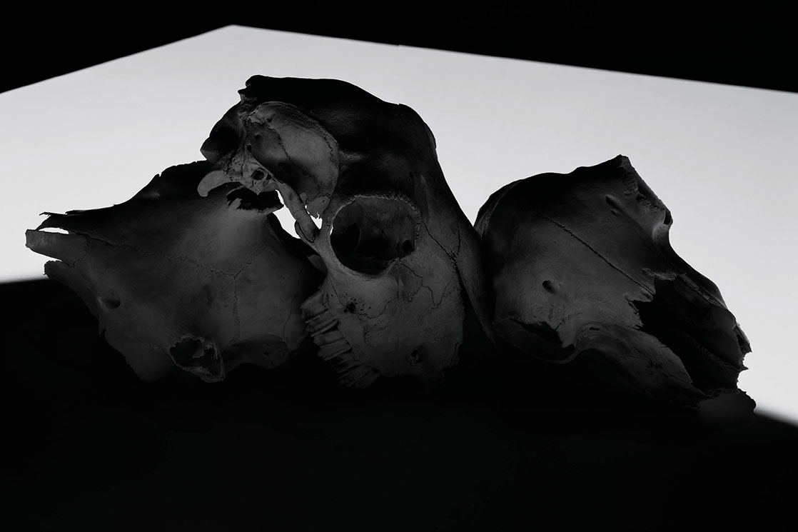 DAN_TOBIN_SMITH_SKULLS2