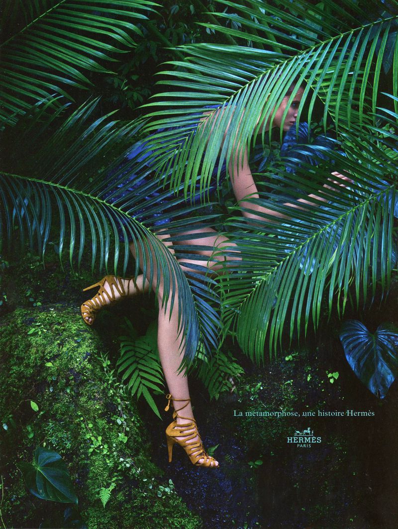 Hermès S/S 14 (Hermès)