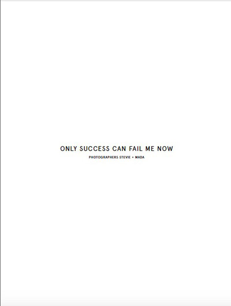 Only Success Can Fail Me Now (No Tofu Magazine)