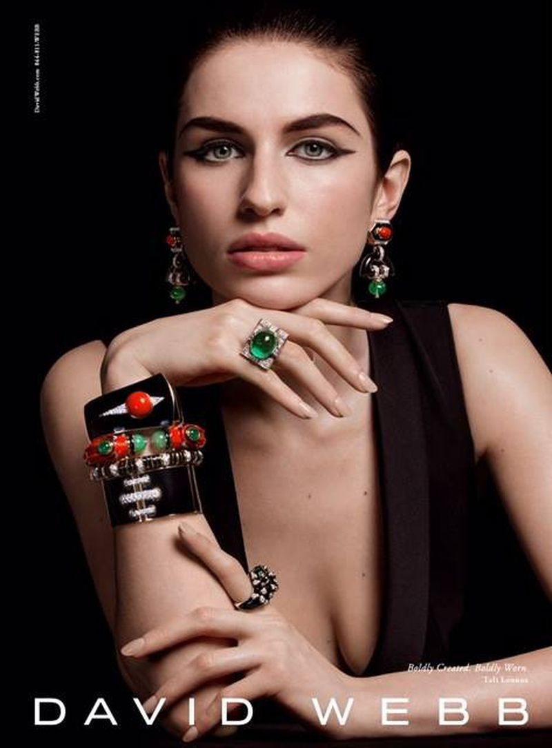 David b F/W 2016 (David b)