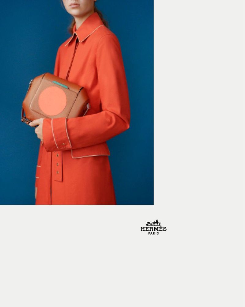 Hermes S/S 17 BAGS CATALOGUE (Hermès)