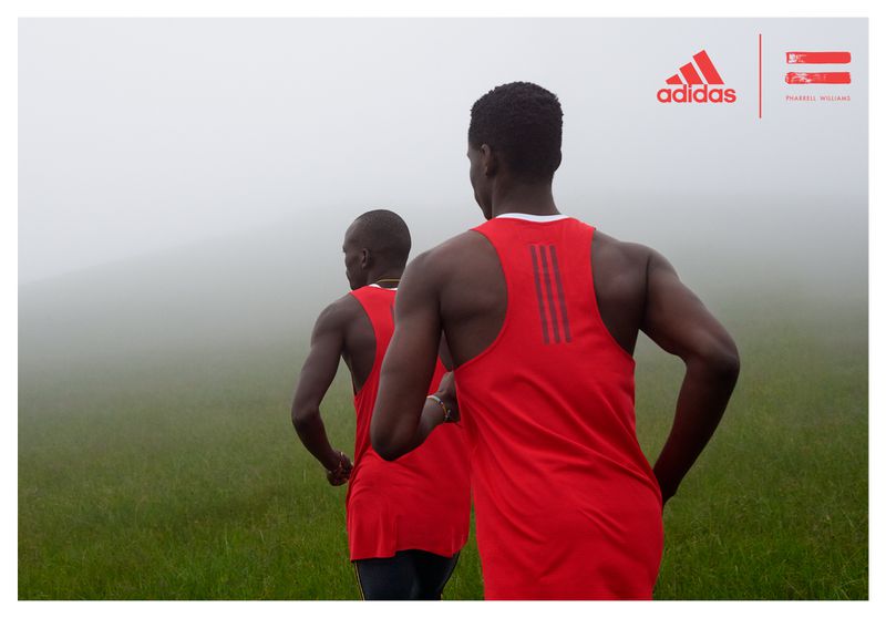 pharrell williams x adidas