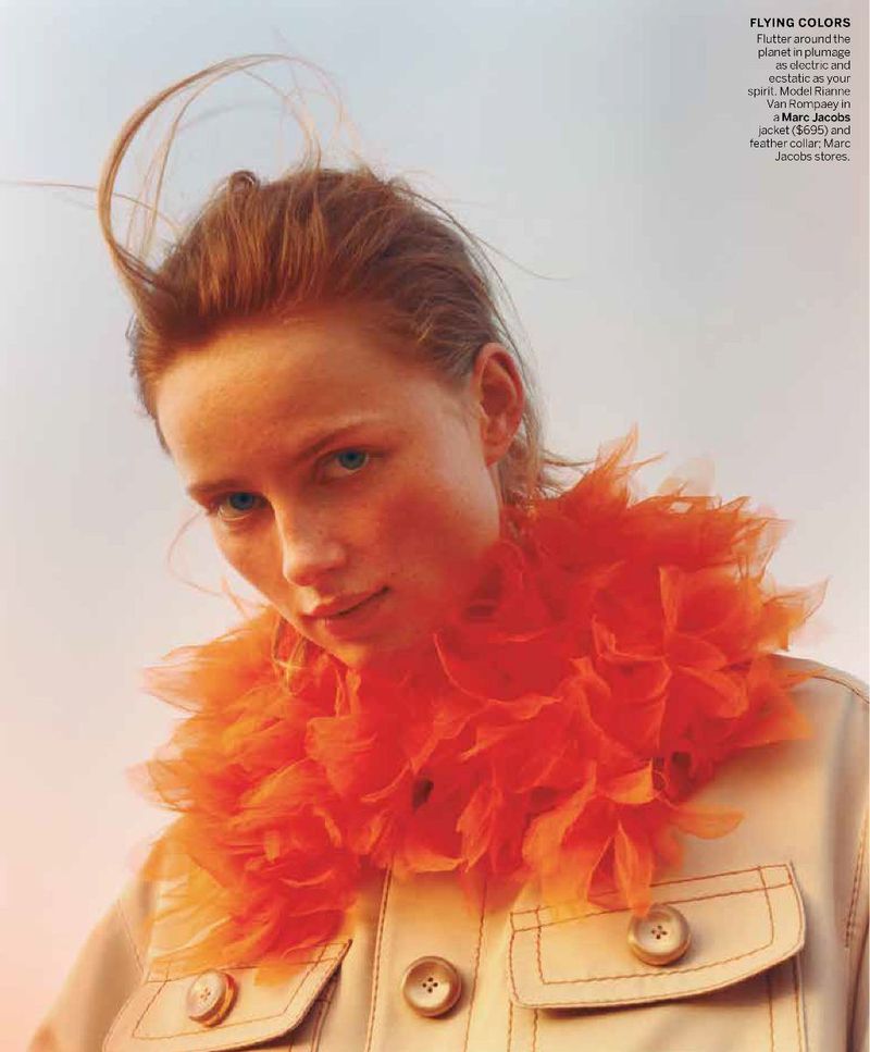 No Limits American Vogue