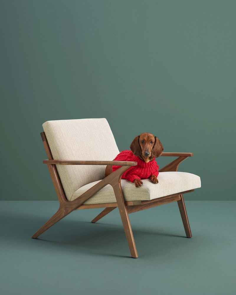 Crate & Barrel Holiday 2019 Campaign (Various Campaigns)