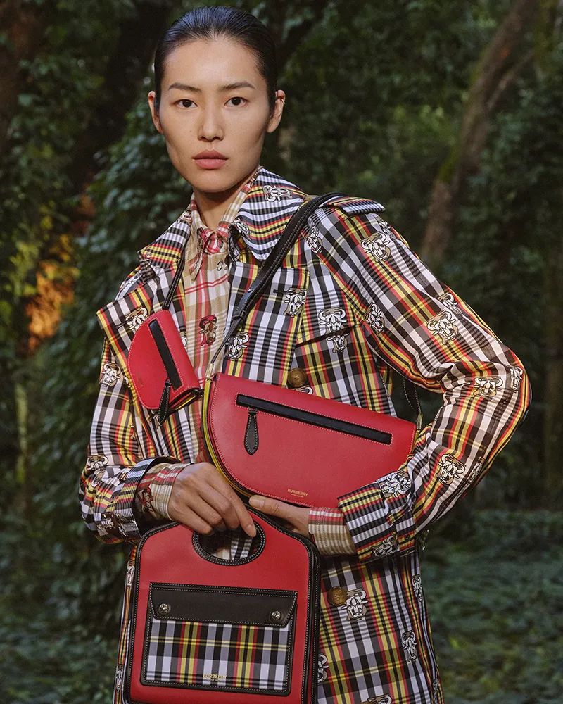 chinese new year campaign