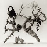 MAS Spring 2020 Campaign (Various Campaigns)