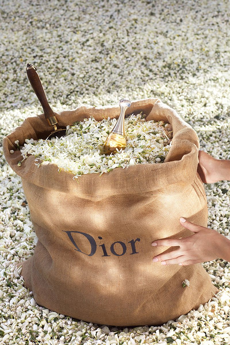 Jasmin (Dior Beauty)