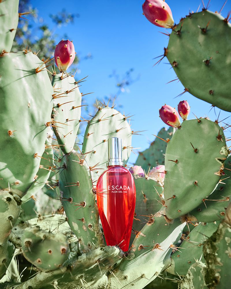Escada Flor del Sol Fragrance (Escada)