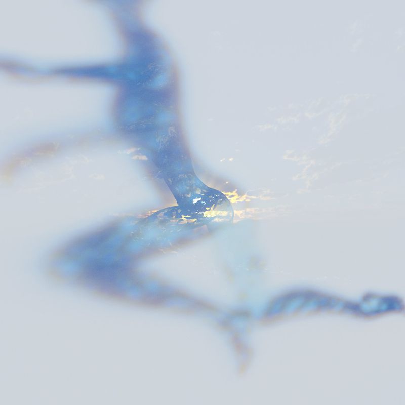 1381938-800w.jpg