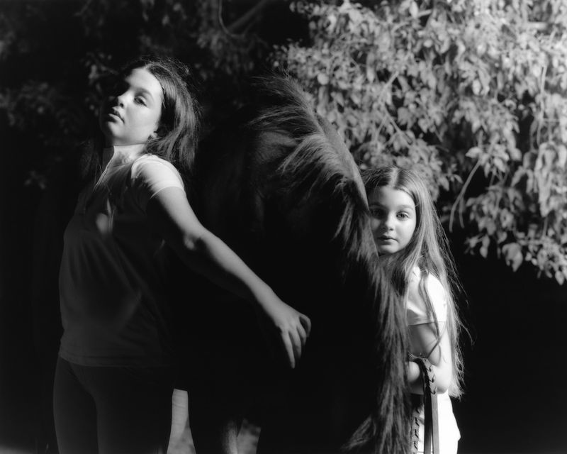 Lien Du Sang Scan Vf