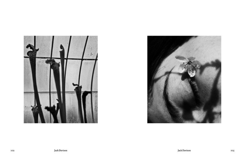 Photography Jack Davison for The Plant 16 (Various Editorials)