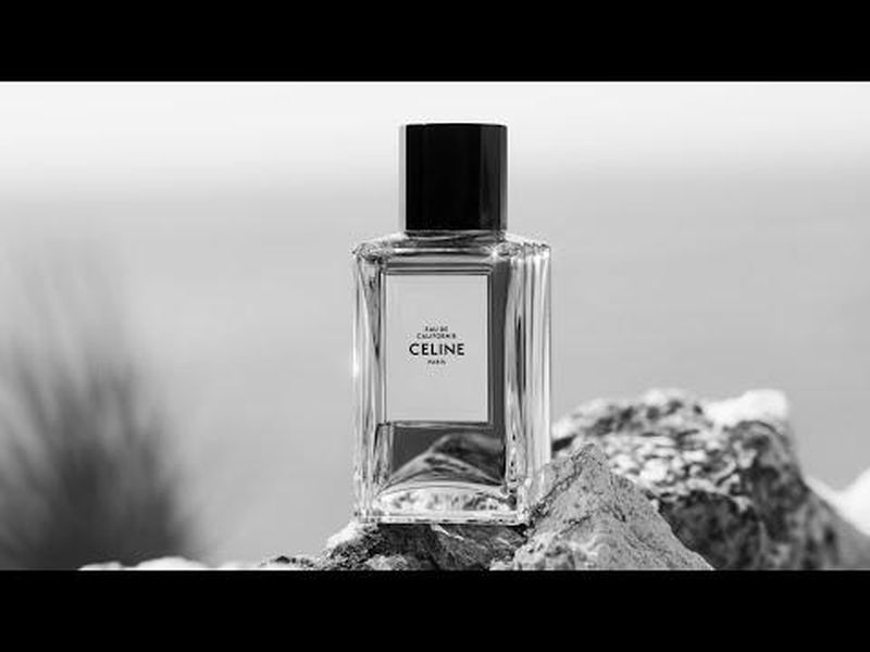 Селин парфюм. Celine celine духи. Туалетная вода celine от celine. Ирис селин духи. Духи селин дион.