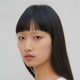 Wang Han