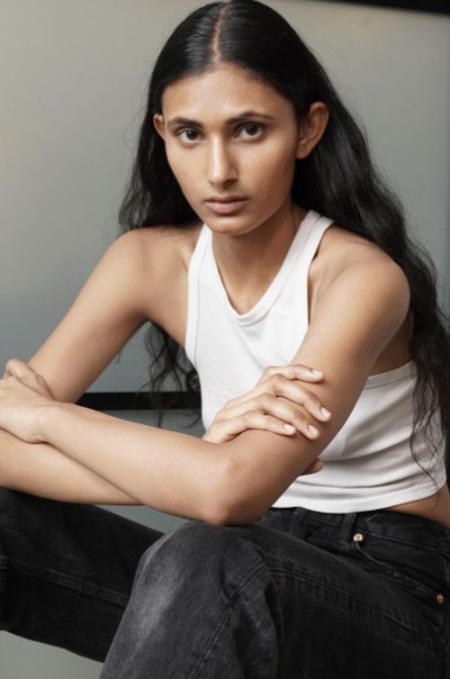 Parvesh Mudgal Model detail by year