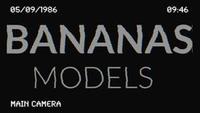 Cheng Qiang - Model - detail by year