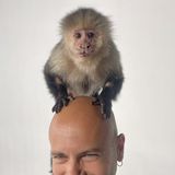 Dario Catellani