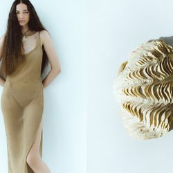 Anastasiia Vlasova - Photographer Profile - Photos & latest news