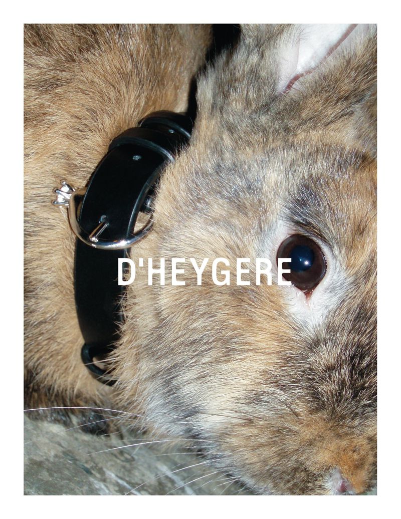 Animal Farm (D'heygere)