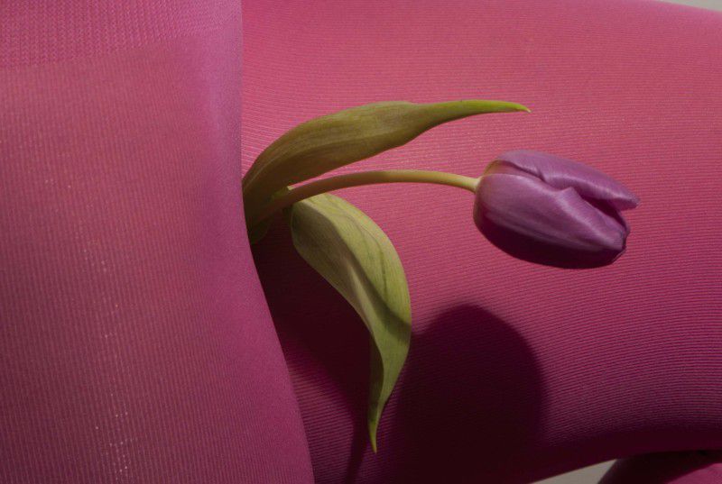 Les fleurs du male (Various Editorials)