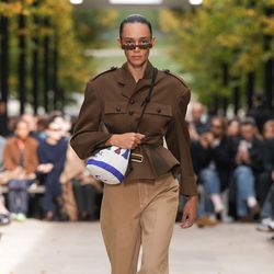 Celine S/S 26 Show (Shows)