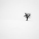 William Waterworth