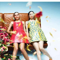 New Order (Editorial)