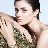 Taylor Hill