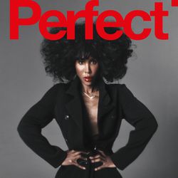 The Perfect Magazine Issue 9 2025 Covers (Magazine Cover)