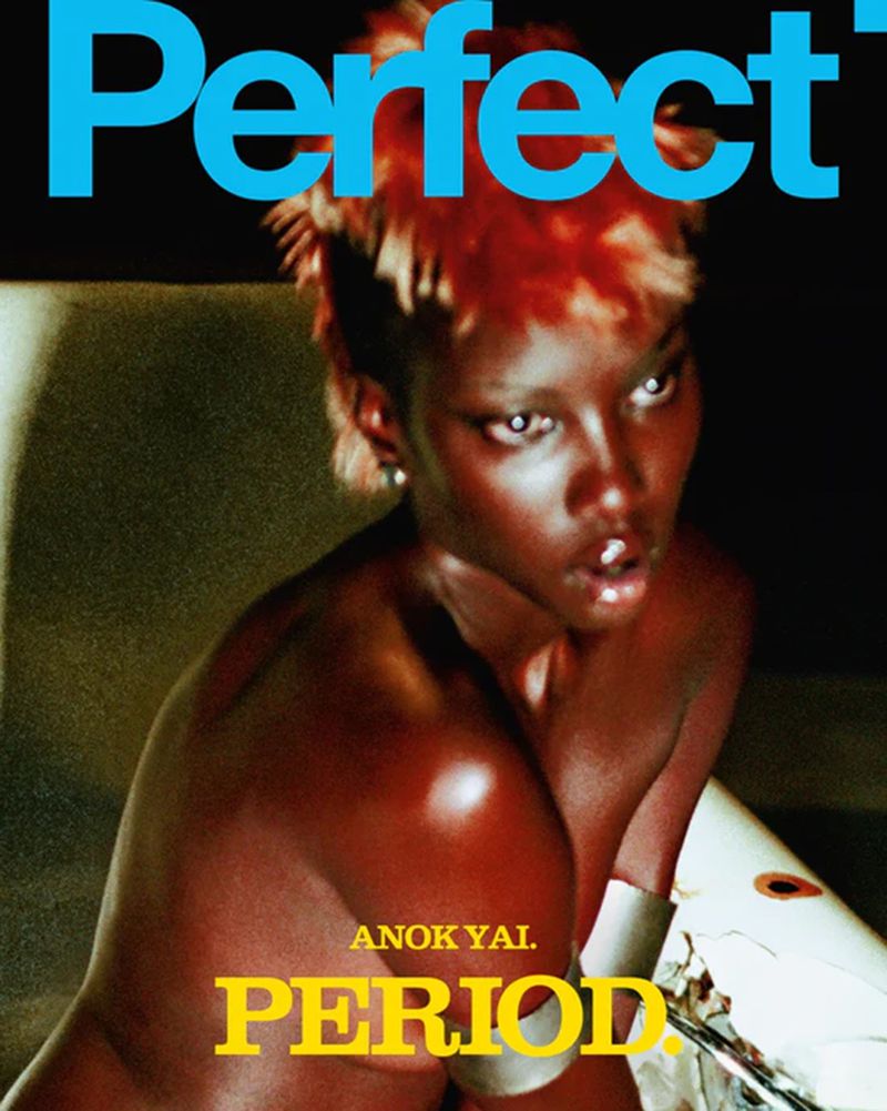Almost Perfect Magazine The Perfect Magazine Issue 9 2025 Covers (The Perfect Magazine)