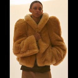 Phoebe Philo Preview: Collection D (Advertising)