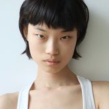 Wenli Zhao