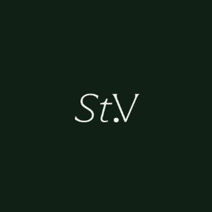ST. VINCENT MANAGEMENT