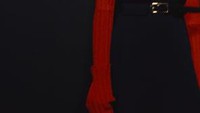 Celine Worn Details Hiver 2026