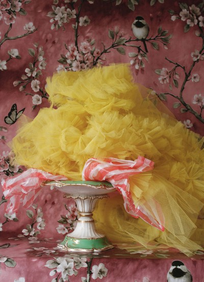 'Dress Portrait' muses on Molly Goddard with dreamy still lifes