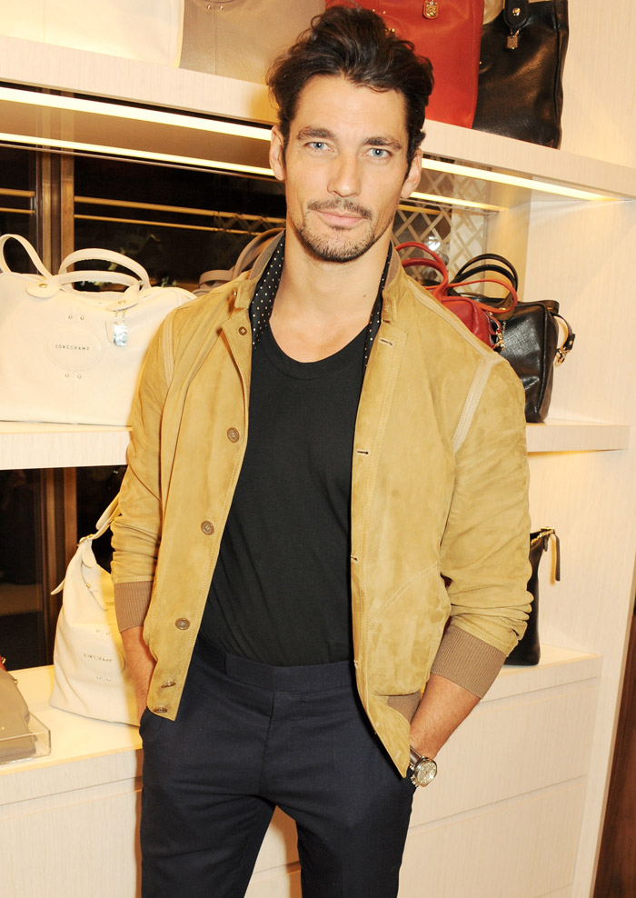 gandy